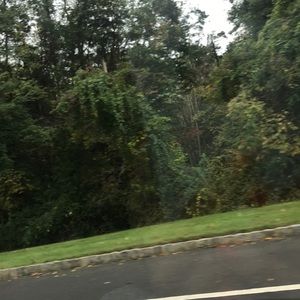 Meet your Posher, Linnet